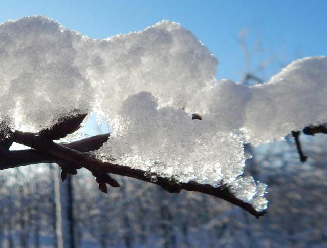 Obsthof Cordes -  DSCN4240